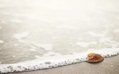 a-retiring-teachers-memoir-beauty-keeps